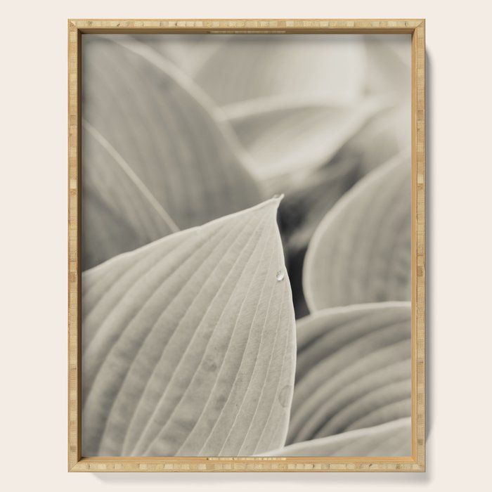 Modern Minimalist Leaf Line Botanical Photograph Serving Tray Gallery Image 1