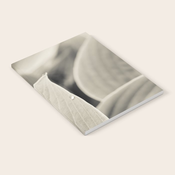 Modern Minimalist Leaf Line Botanical Photograph Notebook Gallery Image 2