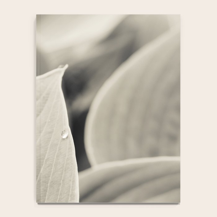 Modern Minimalist Leaf Line Botanical Photograph Notebook Gallery Image 4
