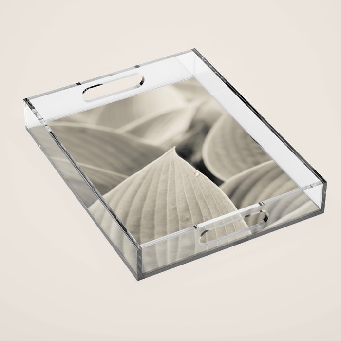 Modern Minimalist Leaf Line Botanical Photograph Acrylic Tray Gallery Image 1