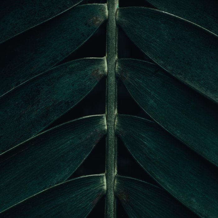 Green Leaves - Nature Photography Coffee Mug Gallery Image 2