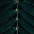 Green Leaves - Nature Photography Coffee Mug Gallery Image 2