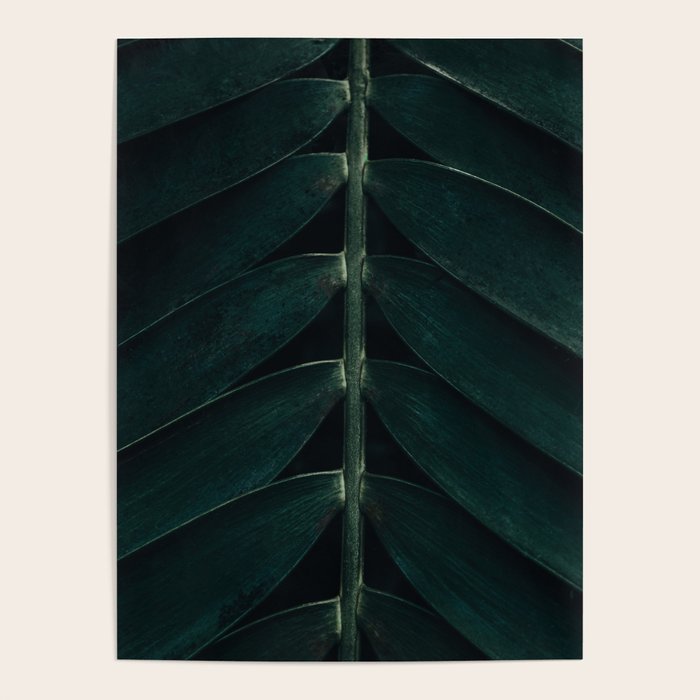 Green Leaves - Nature Photography Poster Gallery Image 4