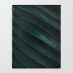 Green Leaves - Nature Photography Notebook Gallery Image 4