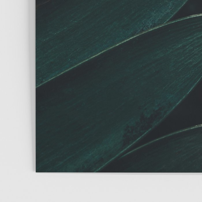 Green Leaves - Nature Photography Poster Gallery Image 3