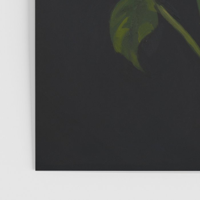 Rose Stem Poster Gallery Image 3