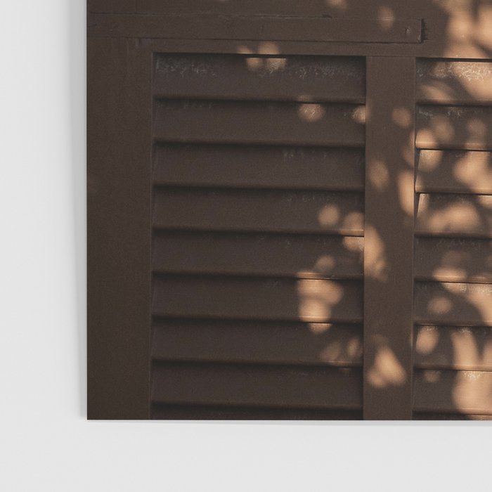 Shadow House Facade Poster Gallery Image 3