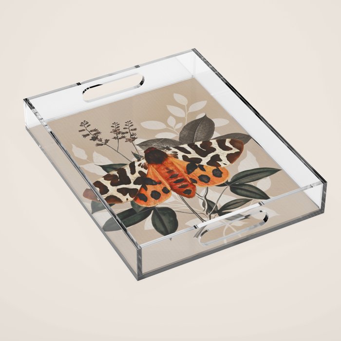 Butterfly  Acrylic Tray Gallery Image 1
