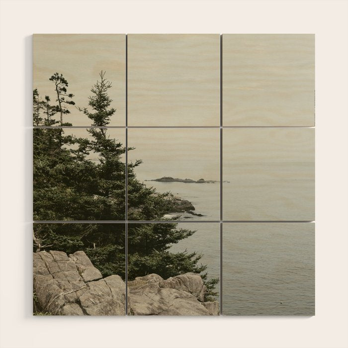 rocky coast - travel photography Maine coast nature Wood Wall Art Gallery Image 1