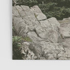 rocky coast - travel photography Maine coast nature Poster Gallery Image 3