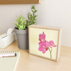 Pink Orchid Mini Art Print Gallery Image 2
