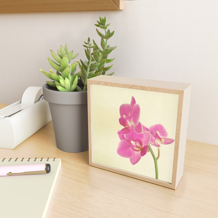 Pink Orchid Mini Art Print Gallery Image 2