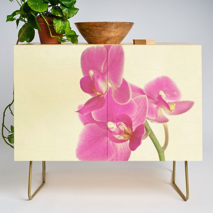Pink Orchid Credenza Gallery Image 1