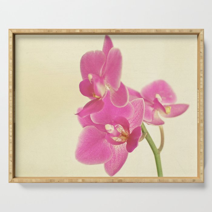 Pink Orchid Serving Tray Gallery Image 1