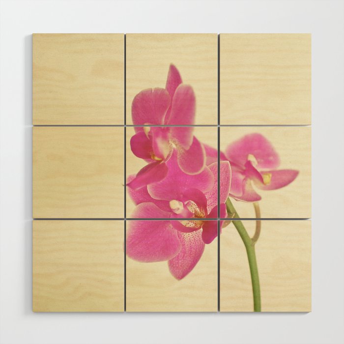 Pink Orchid Wood Wall Art Gallery Image 1