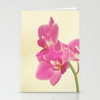 Pink Orchid Stationery Card Gallery Image 2