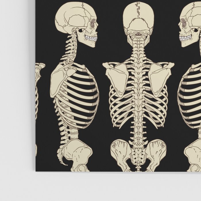 Skeletons Poster Gallery Image 3