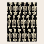 Skeletons Poster Gallery Image 4