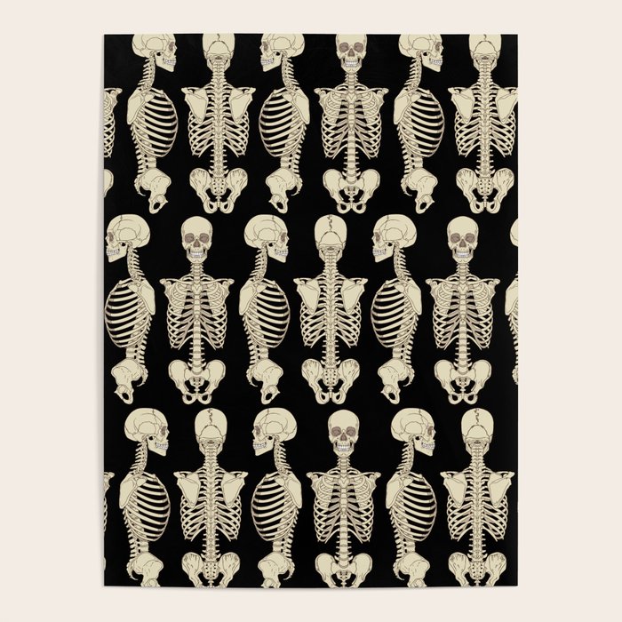 Skeletons Poster Gallery Image 4