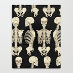 Skeletons Notebook Gallery Image 4
