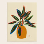 PLANT WITH COLOURFUL LEAVES  Poster Gallery Image 4