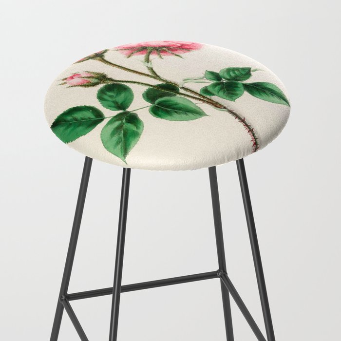  Moss rose by Clarissa Munger Badger, 1866 (benefitting The Nature Conservancy) Stool Gallery Image 2