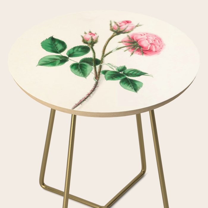  Moss rose by Clarissa Munger Badger, 1866 (benefitting The Nature Conservancy) Side Table Gallery Image 2