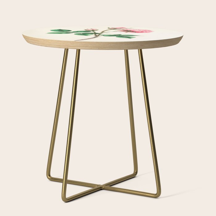  Moss rose by Clarissa Munger Badger, 1866 (benefitting The Nature Conservancy) Side Table Gallery Image 1