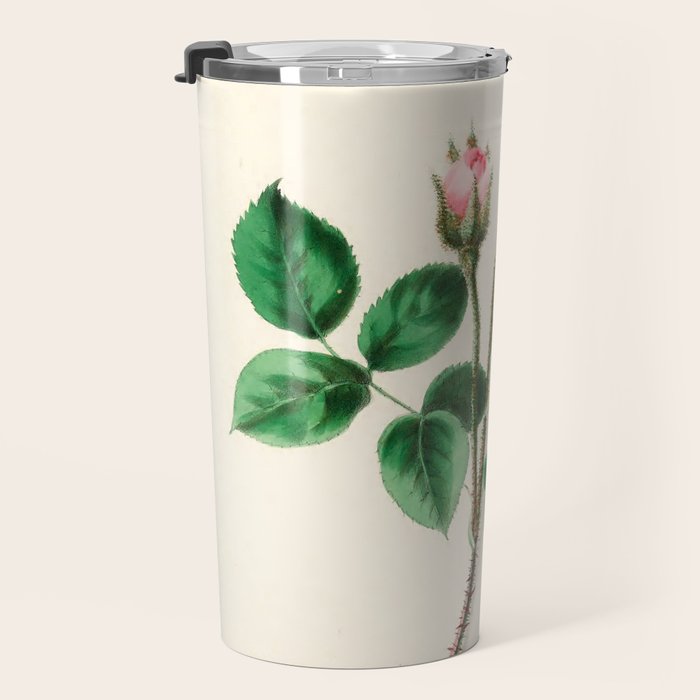  Moss rose by Clarissa Munger Badger, 1866 (benefitting The Nature Conservancy) Travel Mug Gallery Image 3