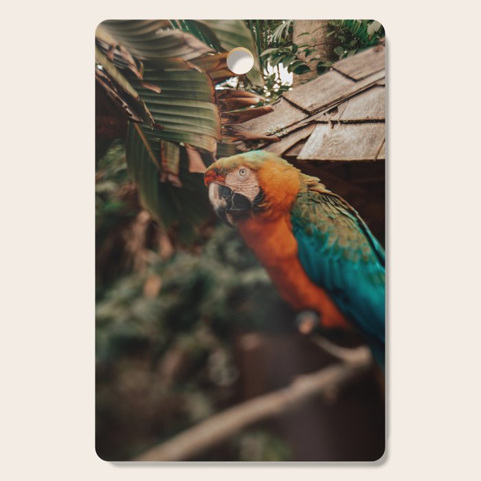 Macaw Cutting Board Gallery Image 1