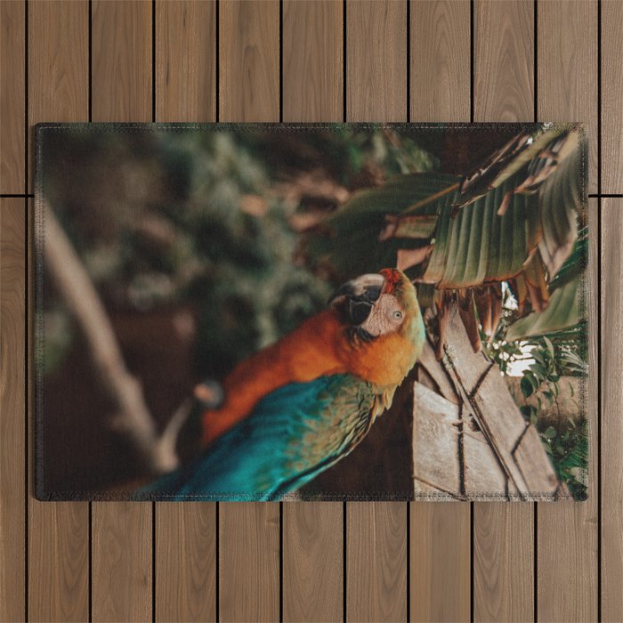 Macaw Outdoor Rug Gallery Image 1