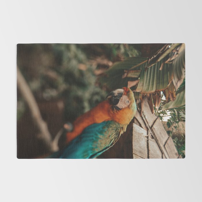 Macaw Rug Gallery Image 2