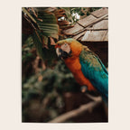 Macaw Poster Gallery Image 4