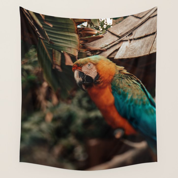 Macaw Wall Tapestry Gallery Image 4
