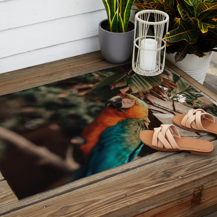 Macaw Outdoor Rug Gallery Image 2