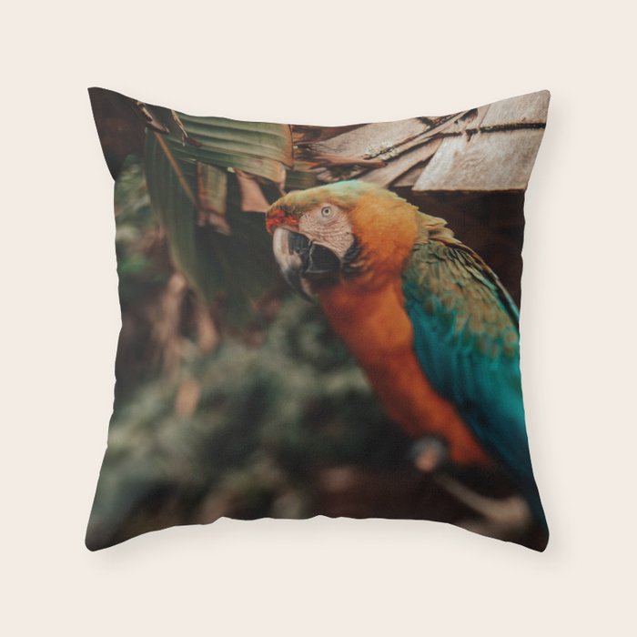 Macaw Throw Pillow Gallery Image 6