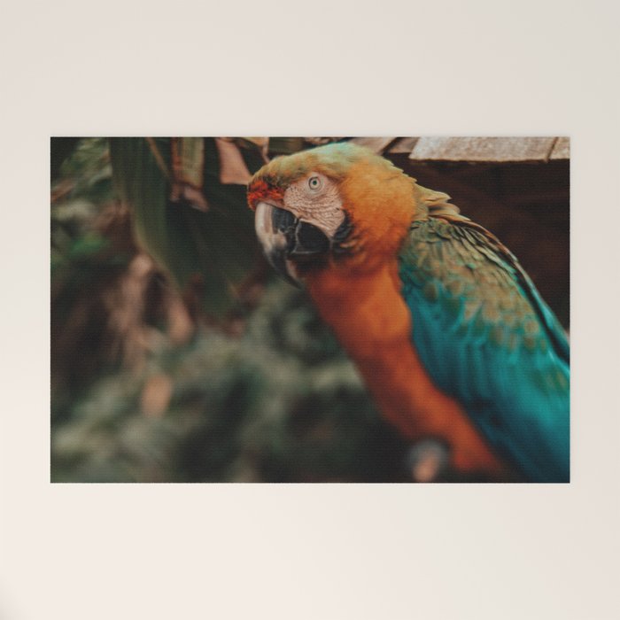 Macaw Welcome Mat Gallery Image 1