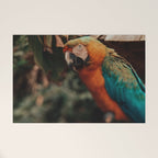 Macaw Welcome Mat Gallery Image 1