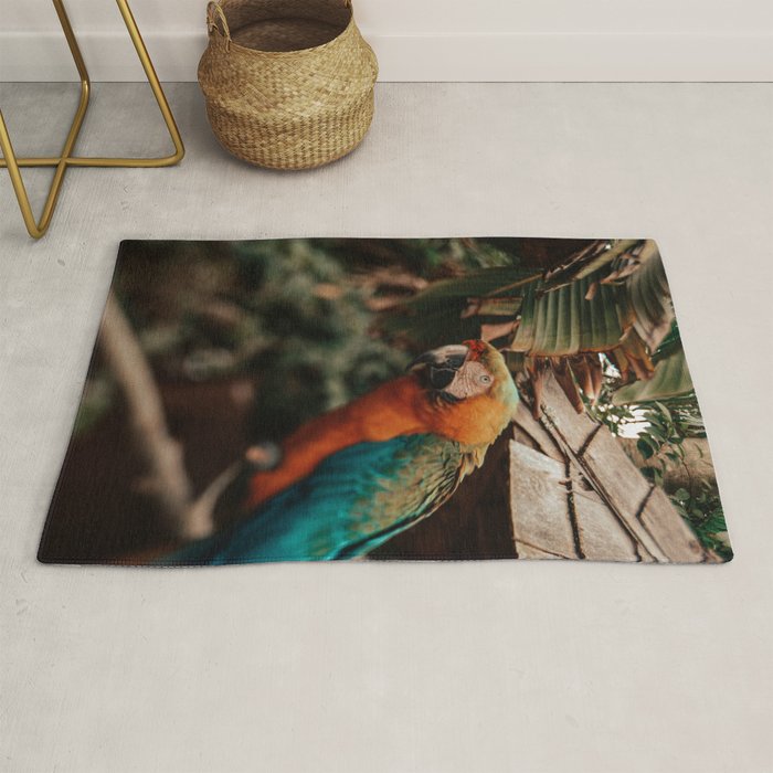 Macaw Rug Gallery Image 1