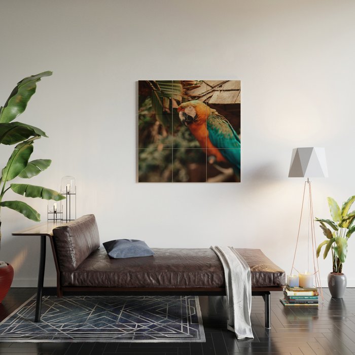 Macaw Wood Wall Art Gallery Image 2