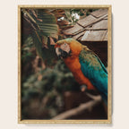 Macaw Serving Tray Gallery Image 1