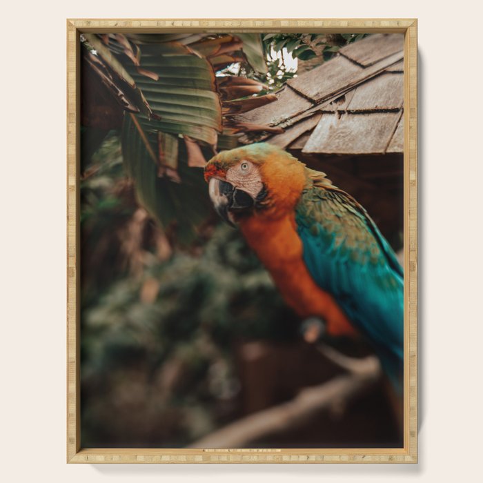 Macaw Serving Tray Gallery Image 1