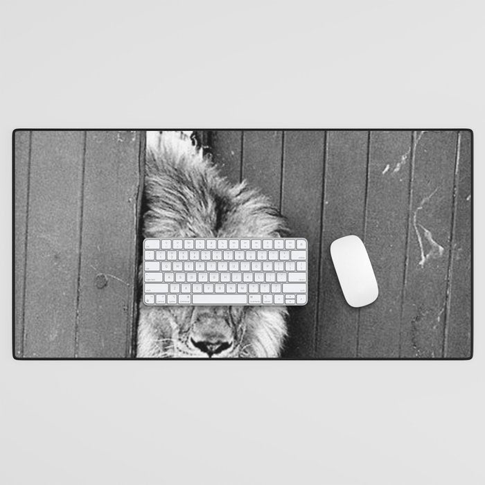 Beware of Dog black and white photograph of attack lion humorous black and white photography Desk Mat Gallery Image 1