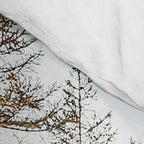 Snow + Golden Pine Photography Landscape Wall Decor, Scenic Nature Comforter Gallery Image 4