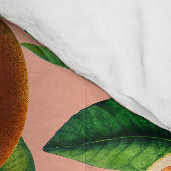 Oranges Pink Vintage Botanical Comforter Gallery Image 4
