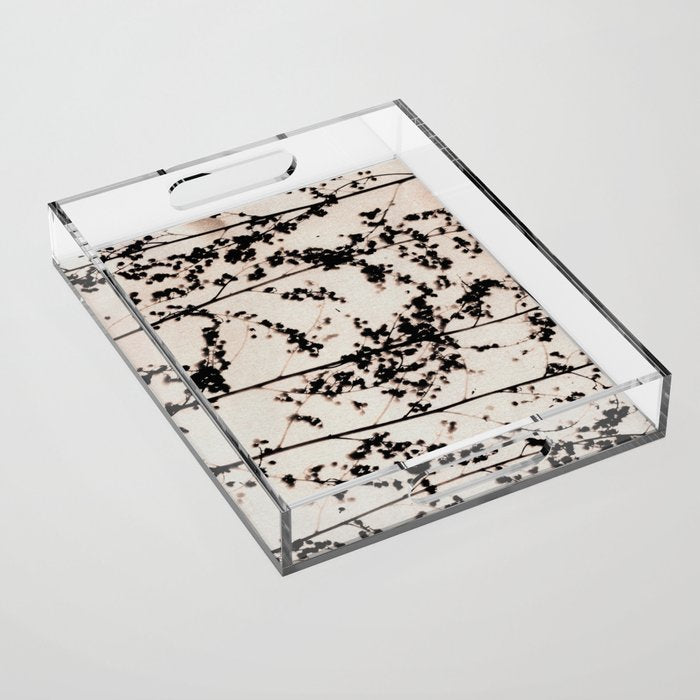 Patterns of Nature #2 Acrylic Tray Gallery Image 1