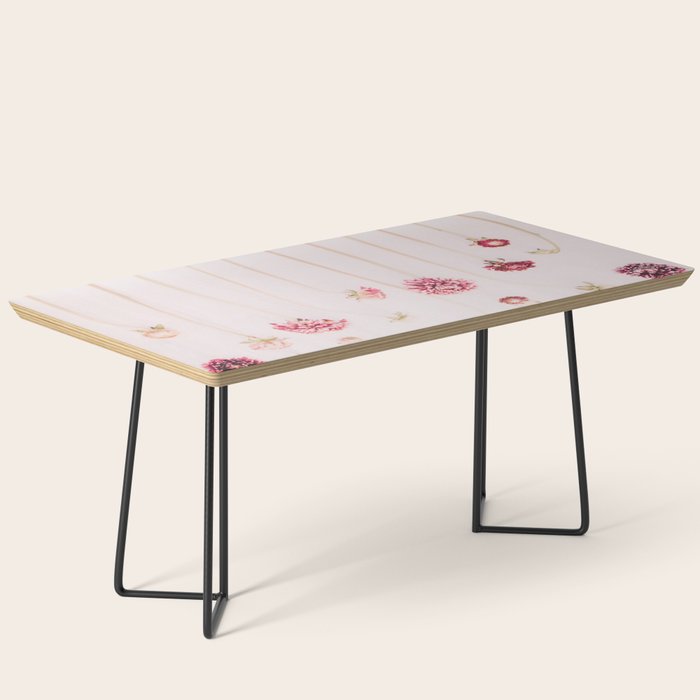 Strawflowers - Pink Flowers by Ingrid Beddoes Coffee Table Gallery Image 1