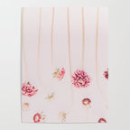 Strawflowers - Pink Flowers by Ingrid Beddoes Poster Gallery Image 4