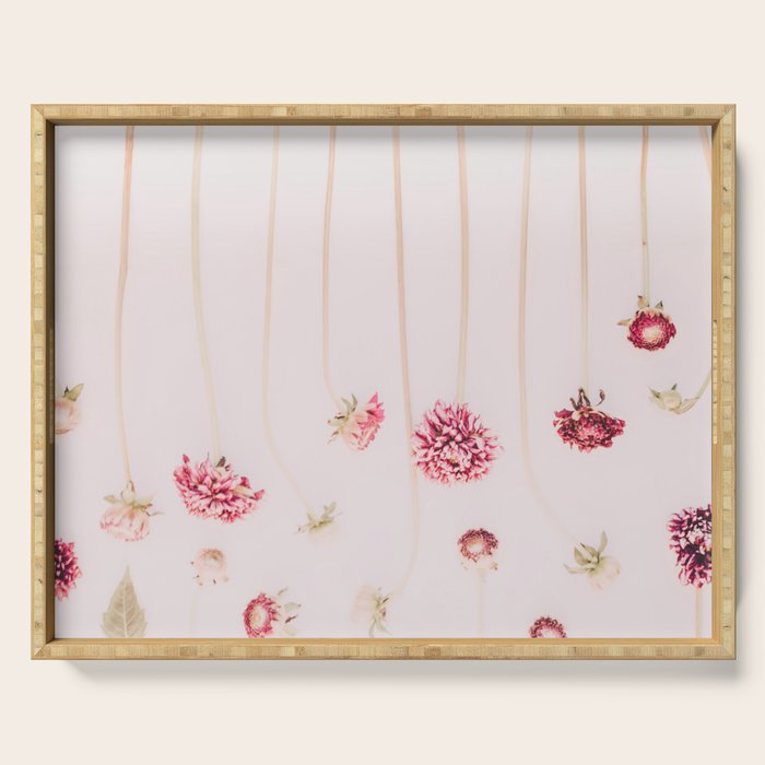 Strawflowers - Pink Flowers by Ingrid Beddoes Serving Tray Gallery Image 1
