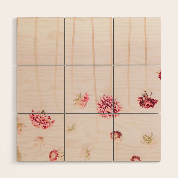 Strawflowers - Pink Flowers by Ingrid Beddoes Wood Wall Art Gallery Image 1